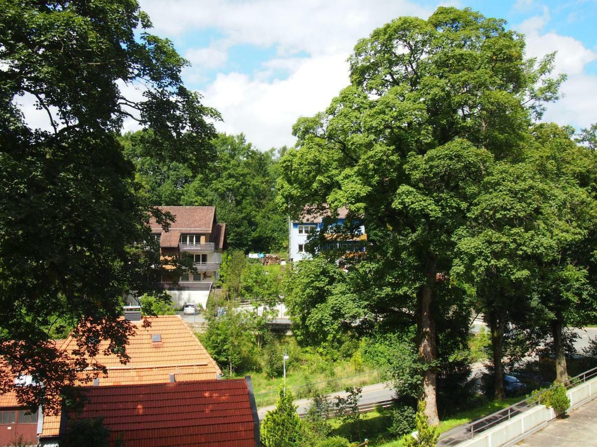 Apartment Harzgruen 2 Sankt Andreasberg Buitenkant foto